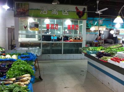 Huehner mit wild verhandelnder Männergruppe Huehner mit wild verhandelnder Männergruppe